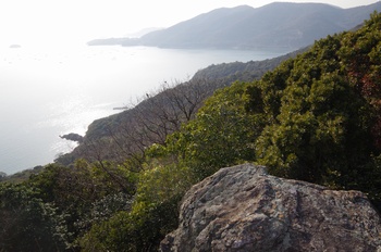 ���̎s�~���� ��