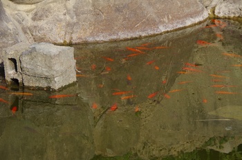 ���̎s�~���� ����