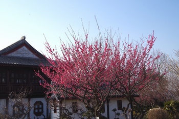 ���̎s�~���� �E��