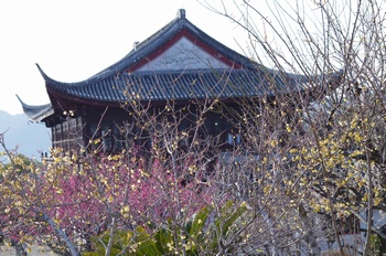 ���̎s�~���� �q�~��