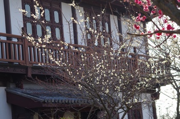 ���̎s�~���� �~