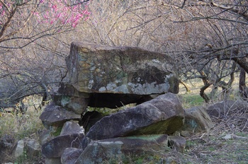 ���̎s�����R�~�� �Õ��Ύ�