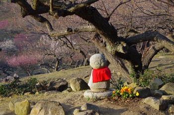 ���̎s���� ���n������