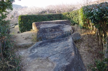 ���̎s���� �����ˌÕ�