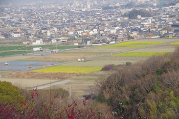 ���̎s�����R�R�[