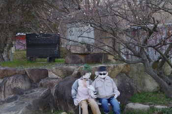 �̎s�����R ������