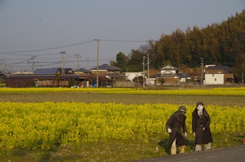 �̎s�����R�� �؂̉Ԕ�