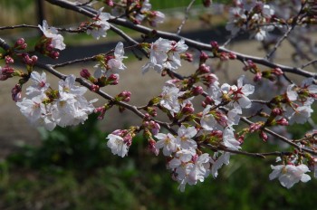 �\���C���V�m