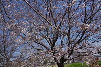 �\���C���V�m