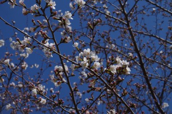 �\���C���V�m