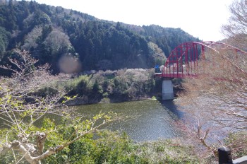 ������ ��������