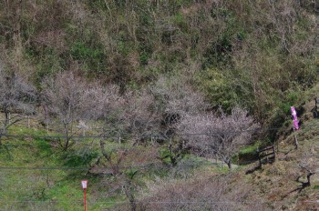 ������ �~�ѕ���