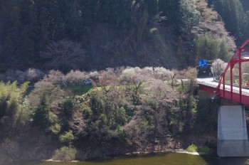 ������ ��������