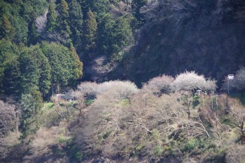 ������ ������E��