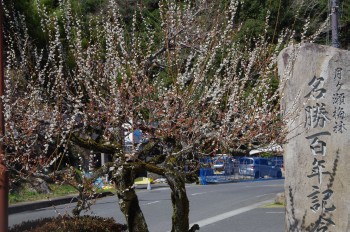 ������ �E��