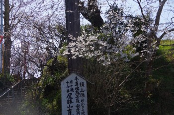 �������^���� ��