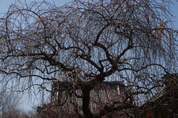 �������^���� ������~