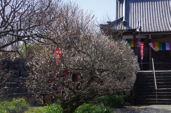 �������^���� �~