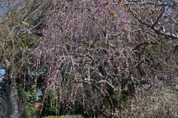 �������^���� �}���~