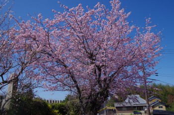  ������ �^���� ������