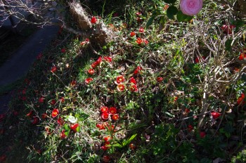  ������ �^���� ��