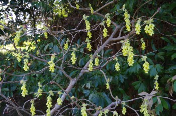  ������ �^���� �L�u�V