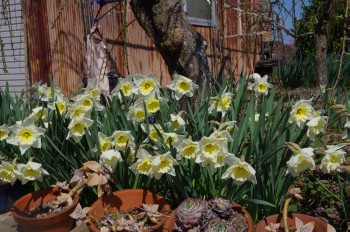 �������@����