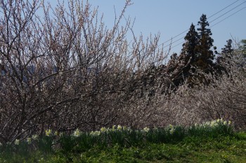 �������@�E��