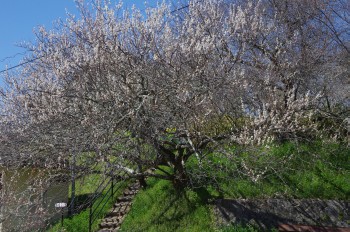 �������@�E������