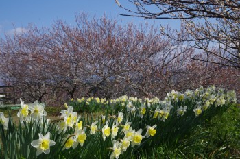 �������@�E������