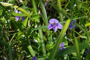 �������@�X�~��