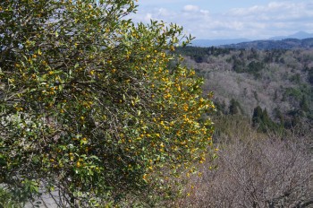 �������@����