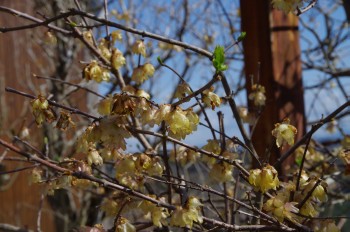 �������@���E�o�C