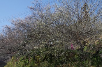 ���������Y�~�� �E��