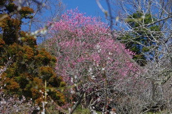 ���������Y�~�� �E��