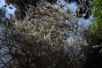 ���������Y�~�� �E��