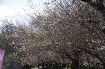 ���������Y�~�� �E��