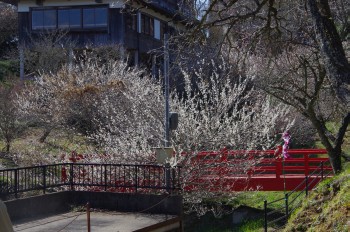 �������~�ь��� ��