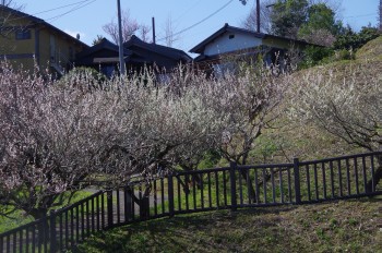 �������~�ь��� �~