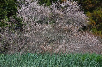 �������~�ь��� �l�M?