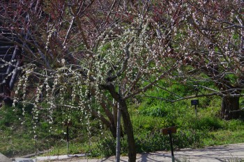 �������~�ь��� ������~