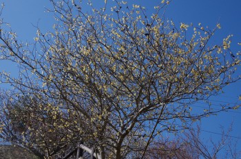 �������V�_�_�� ���E�o�C