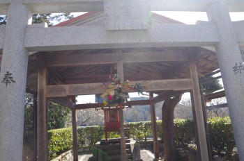 �������V�_�_�� �_��