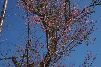 �������V�_�_�� �~