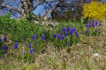 �������V�_�_�� �~