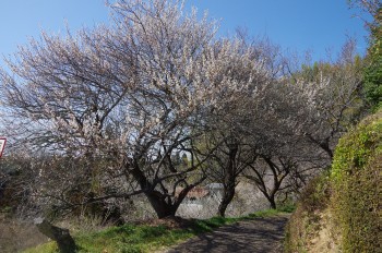  �������V�_�~�� �~