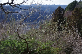  �������V�_�~�� ������