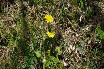  �������V�_�~�� �^���|�|