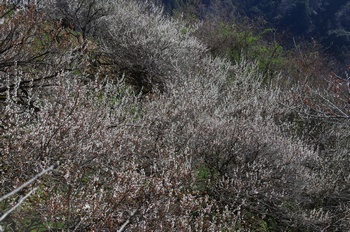  �������V�_�~�� �~