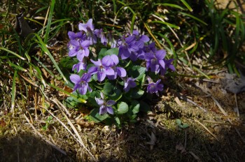  �������V�_�~�� �X�~��